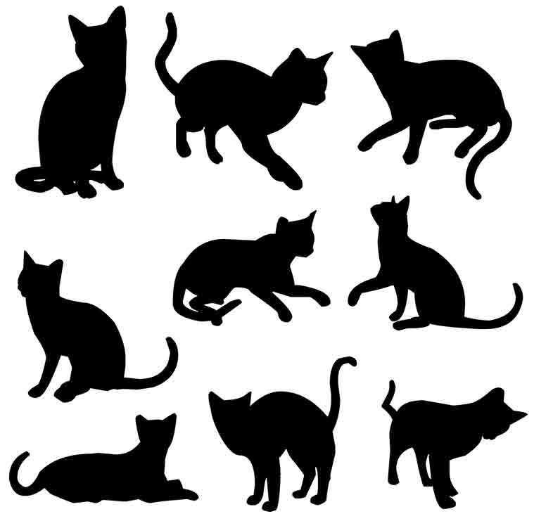 66 Gambar Hewan Animasi Kucing HD Terbaru