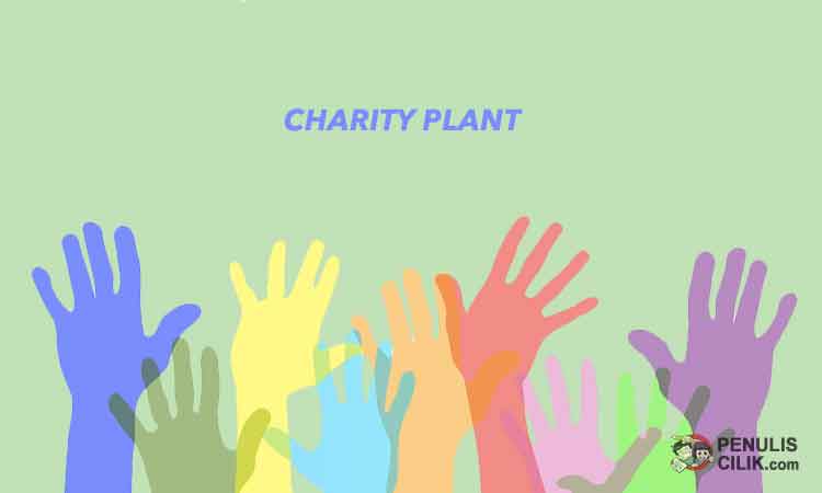 Cerita anak charity plant